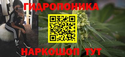 ECSTASY Заводоуковск