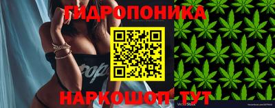 бошки Заволжье