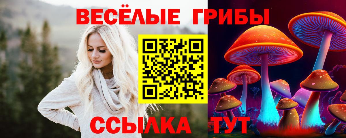 Галлюциногенные грибы Psilocybe Миллерово