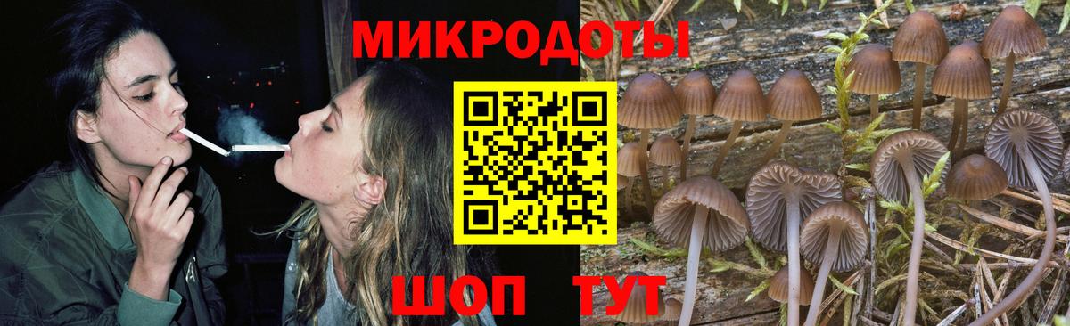 наркошоп  Псилоцибиновые грибы Psilocybe  Вход с VPN  Миллерово 